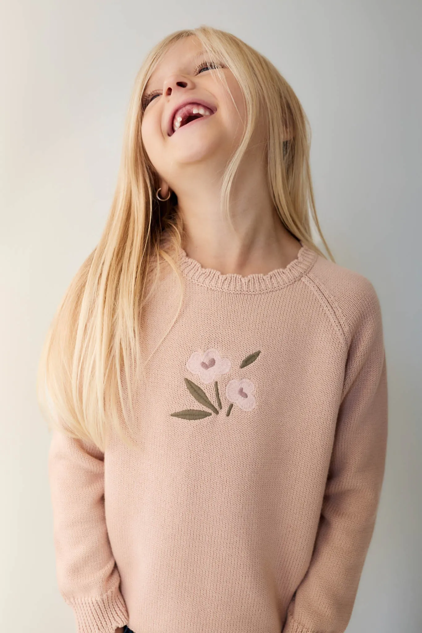 Audrey Knitted Jumper - Dusky Rose Petite Goldie