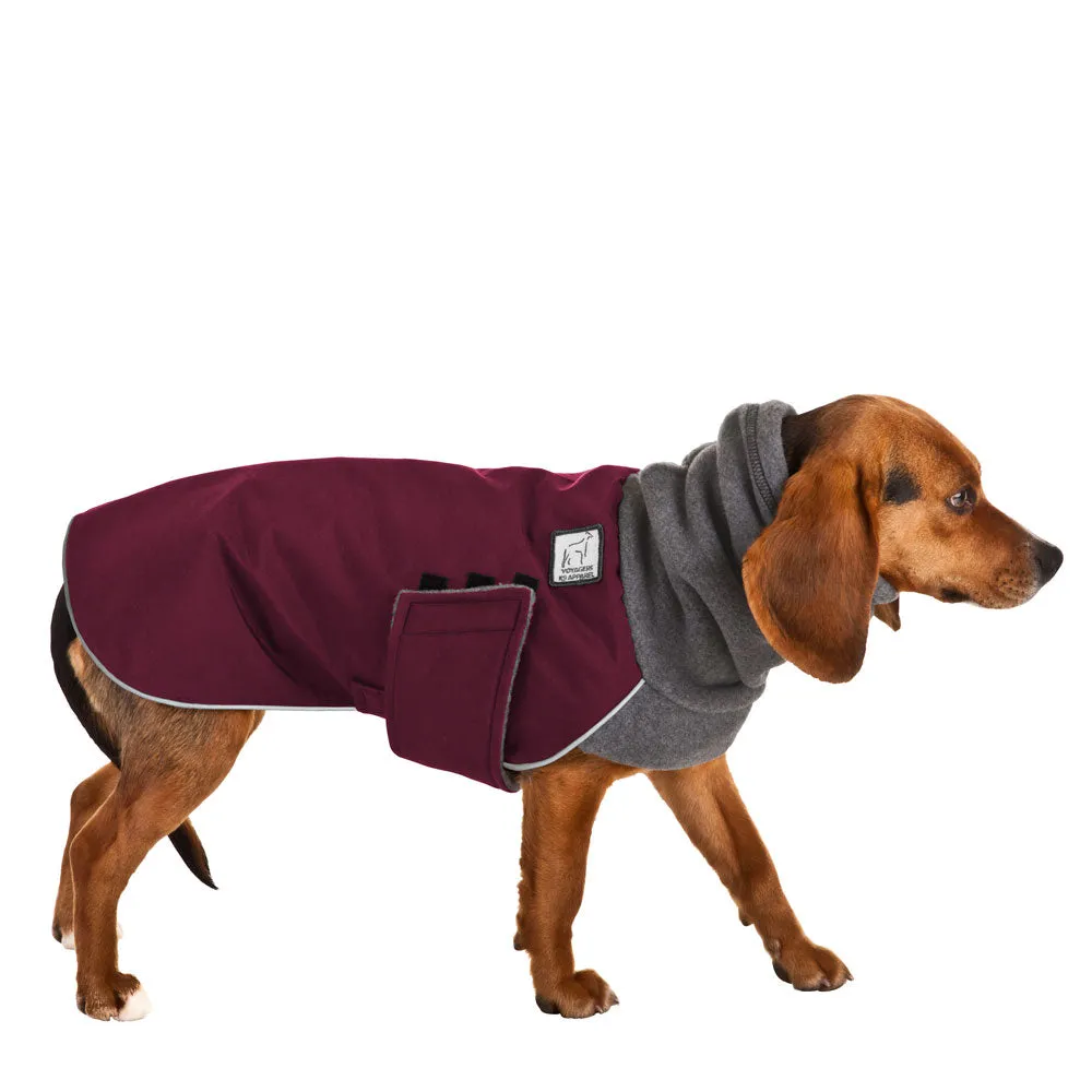 Beagle Winter Coat