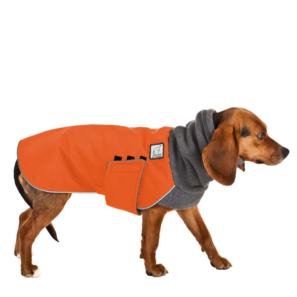 Beagle Winter Coat