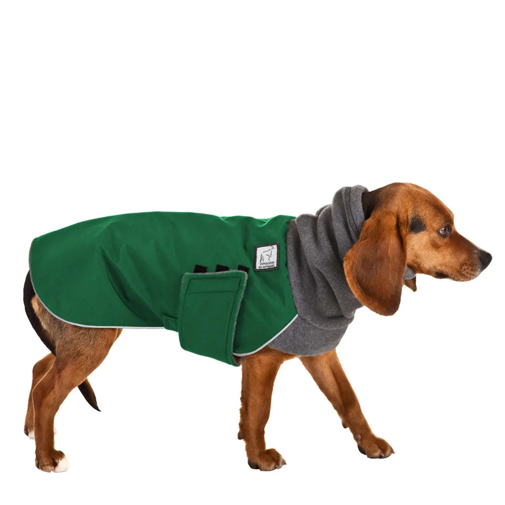 Beagle Winter Coat