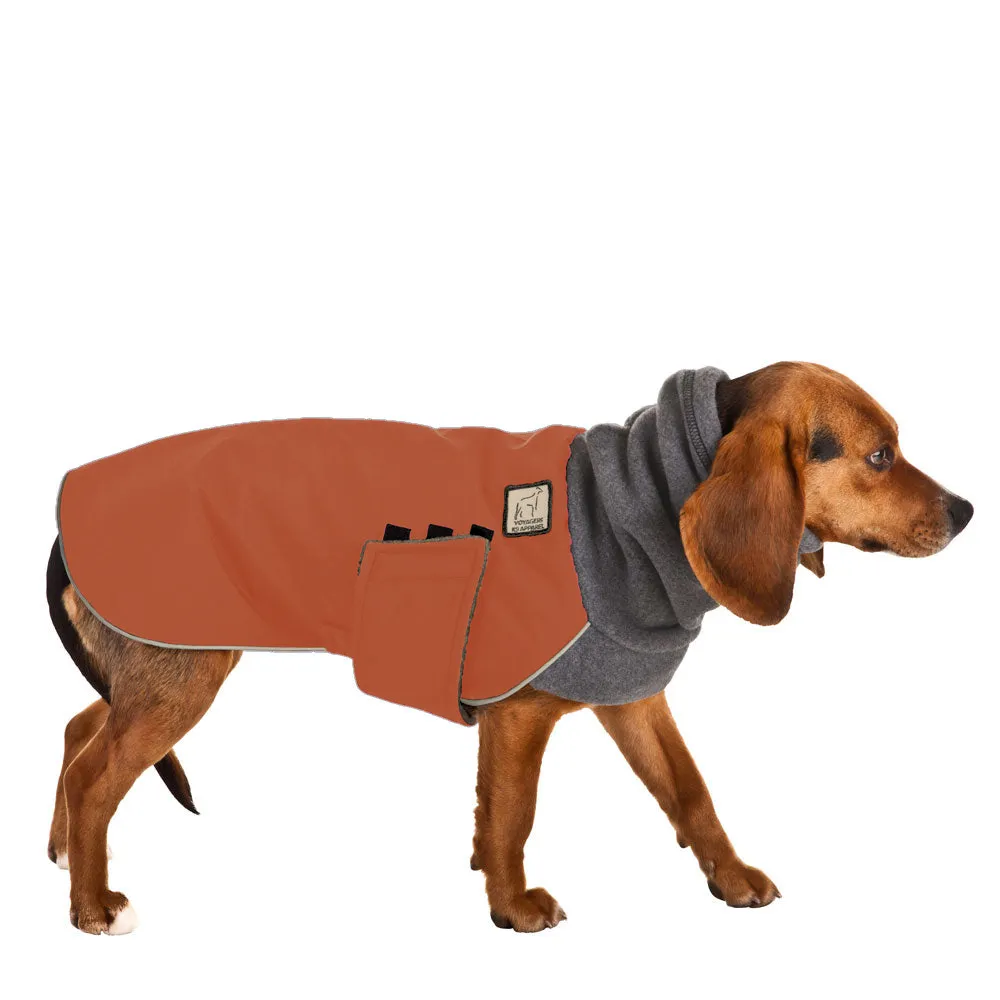 Beagle Winter Coat