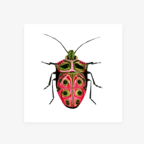 Beetle: Passion / Art Print