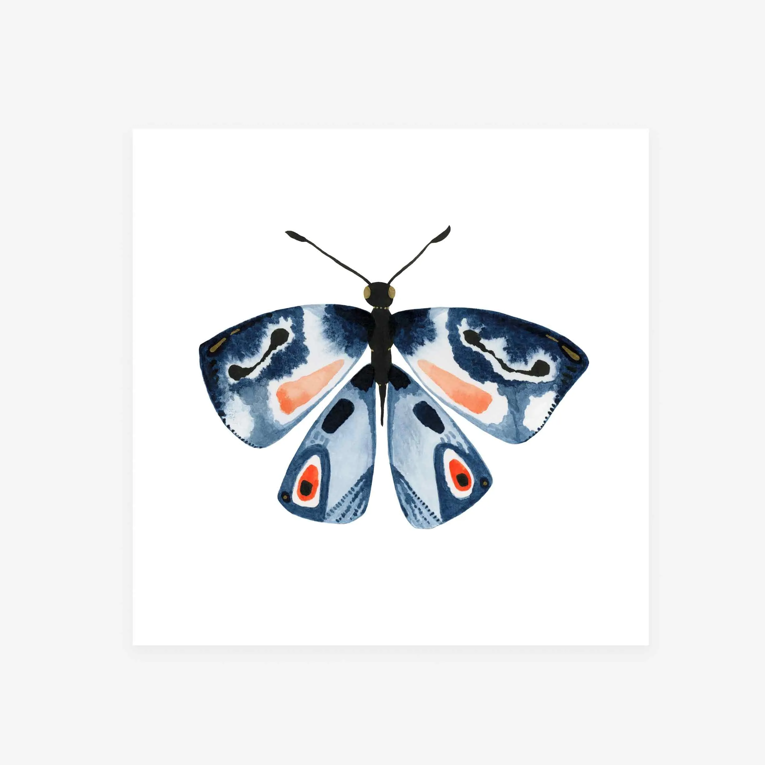 Butterfly: Ambition / Art Print