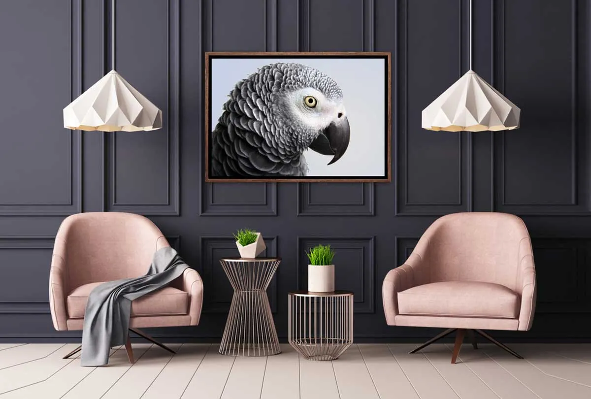 Grey African Parrot | Canvas Wall Art Print