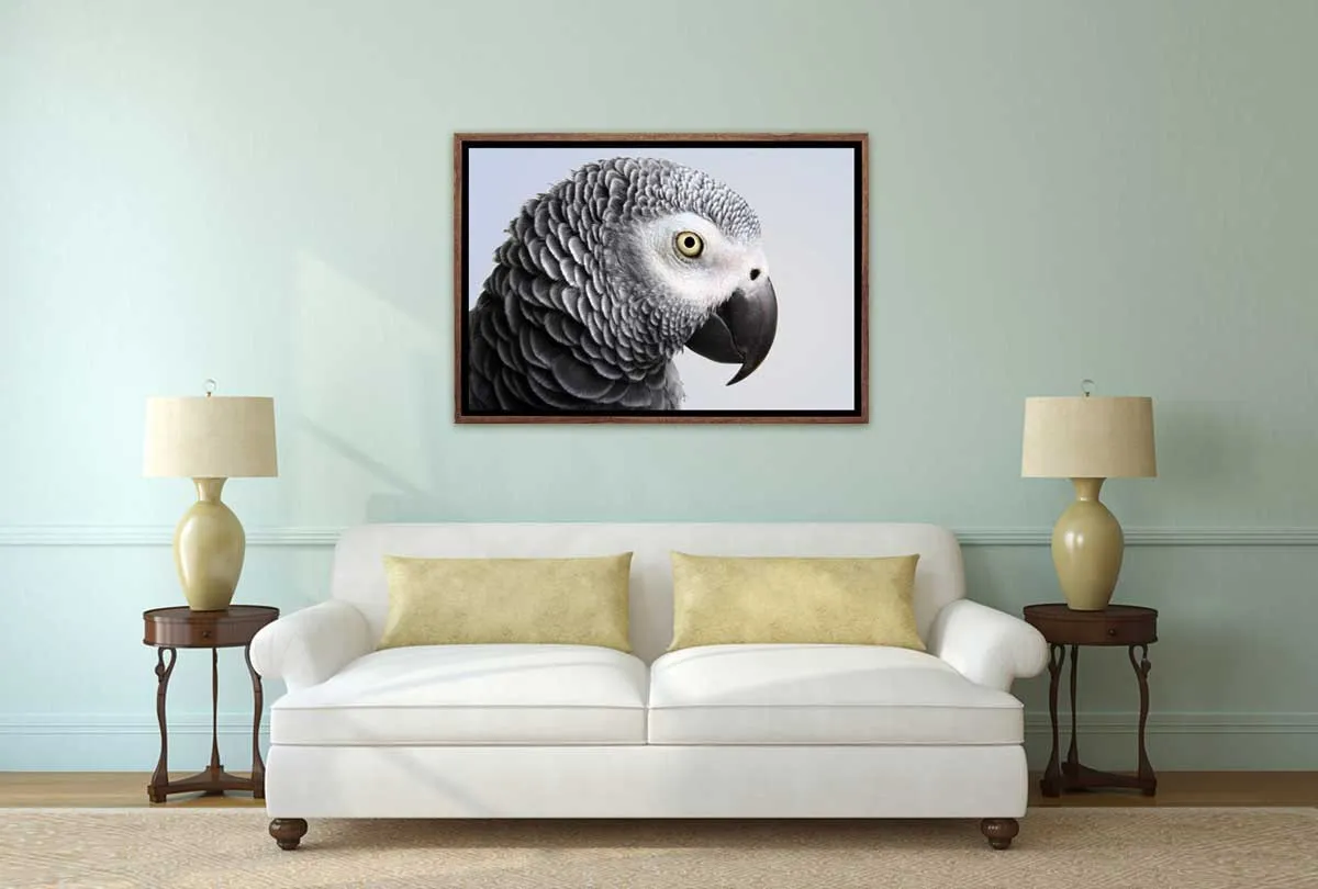 Grey African Parrot | Canvas Wall Art Print