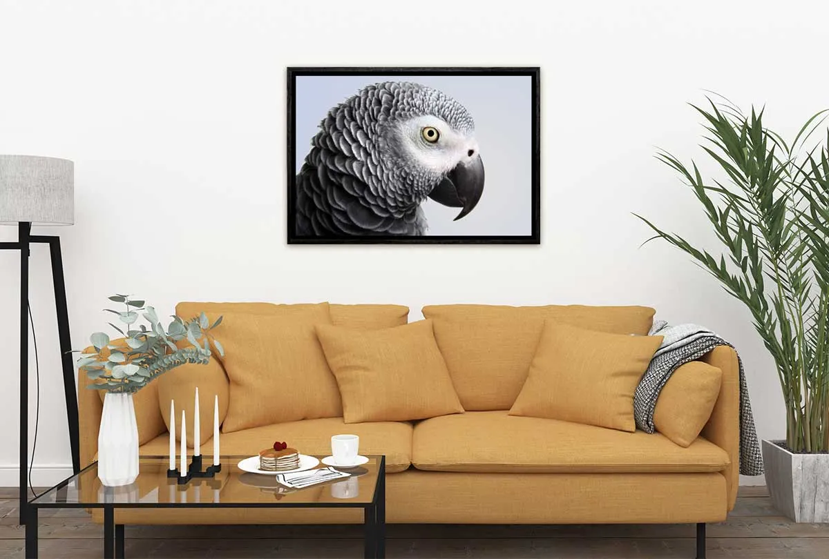 Grey African Parrot | Canvas Wall Art Print