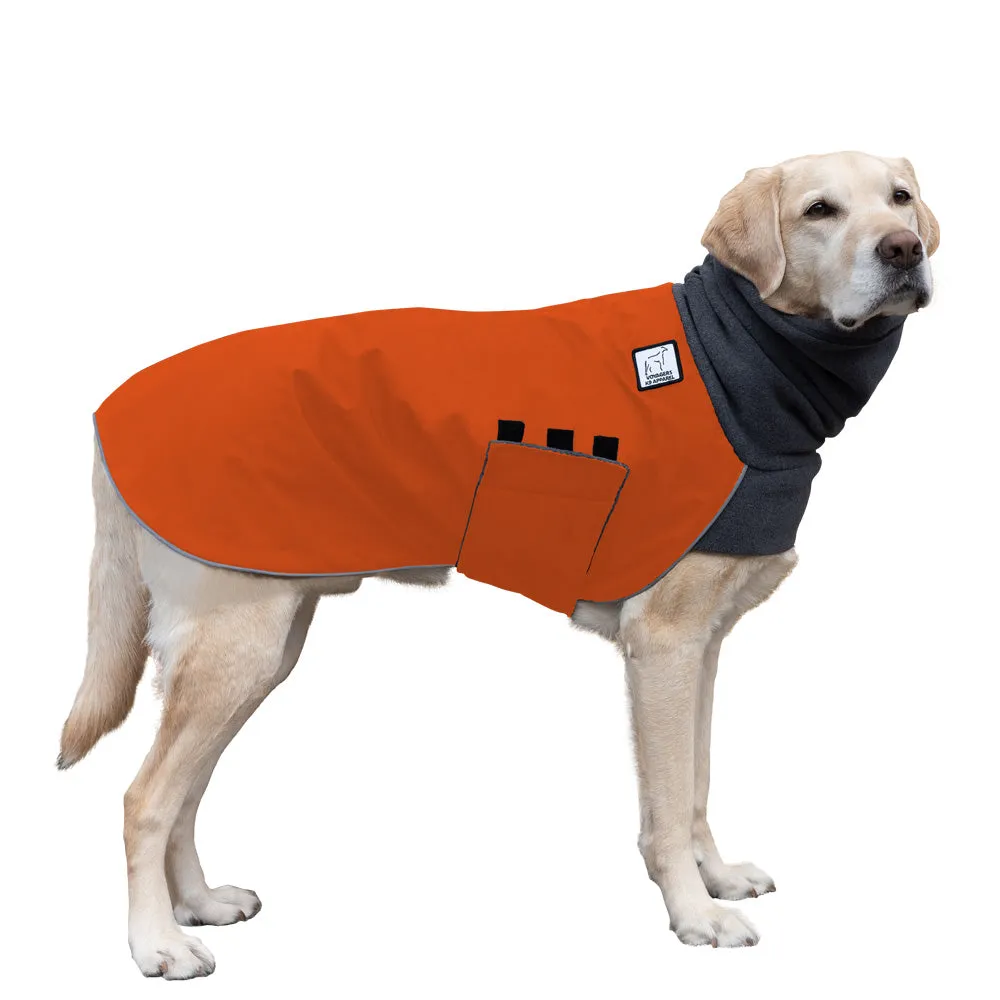 Labrador Retriever Winter Coat