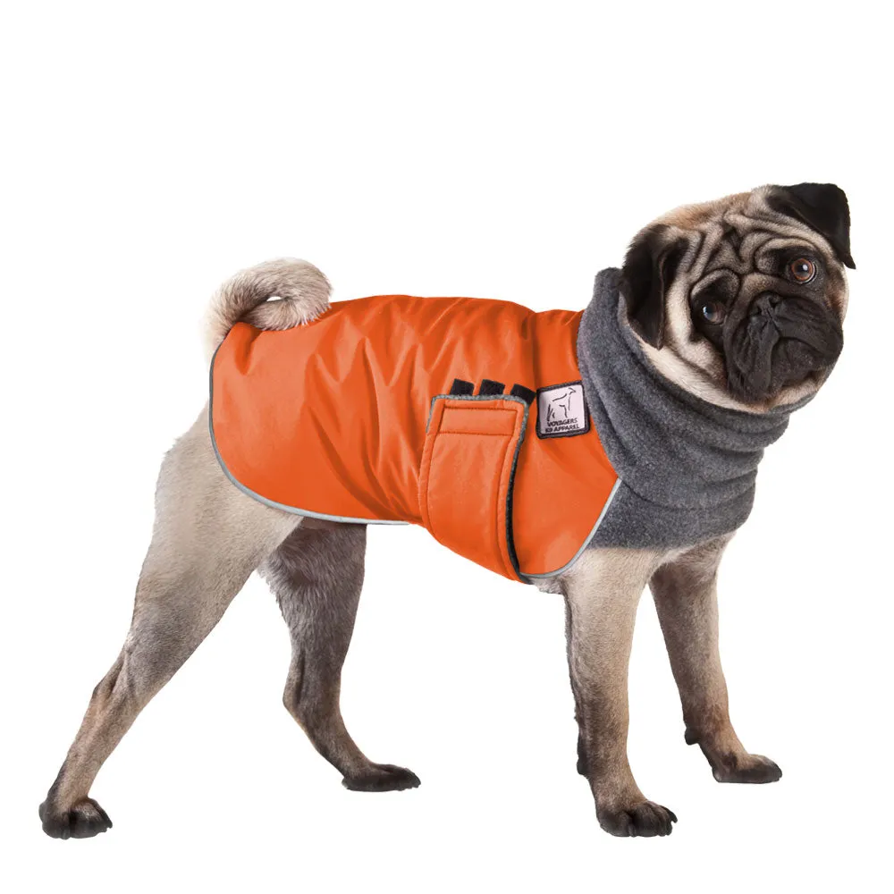 Pug Winter Coat